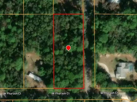 Tiny photo for 2581 W Pharaoh Court, Lecanto, FL 34461 (MLS # TB8508017)