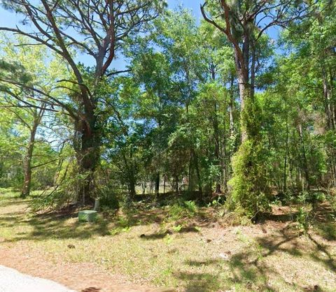2581 W PHARAOH COURT 28 LECANTO FL 34461