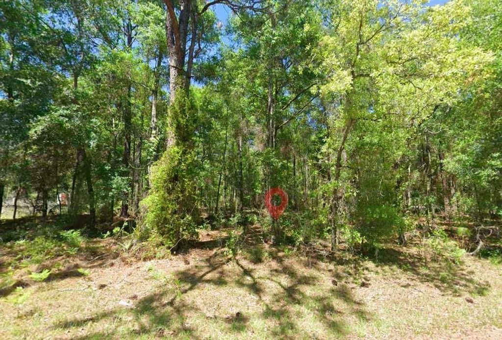 Photo of 2581 W Pharaoh Court, Lecanto, FL 34461 (MLS # TB8508017)