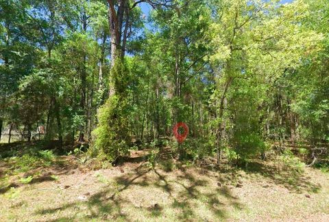 Tiny photo for 2581 W Pharaoh Court, Lecanto, FL 34461 (MLS # TB8508017)
