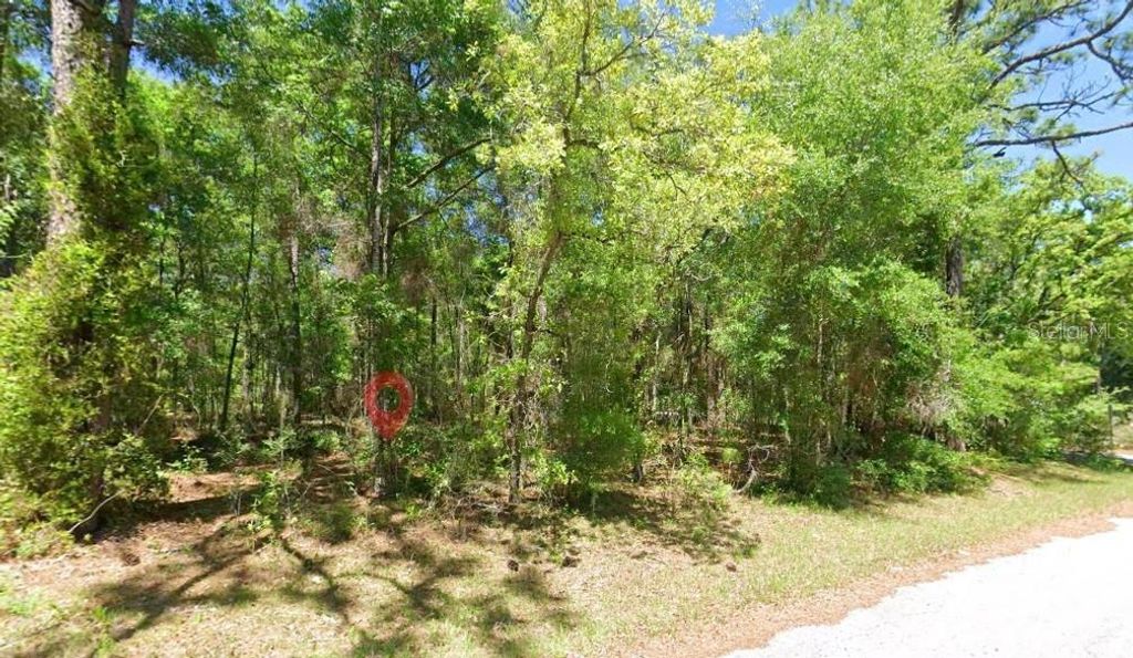 Photo of 2581 W Pharaoh Court, Lecanto, FL 34461 (MLS # TB8508017)