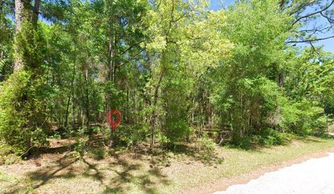 Tiny photo for 2581 W Pharaoh Court, Lecanto, FL 34461 (MLS # TB8508017)
