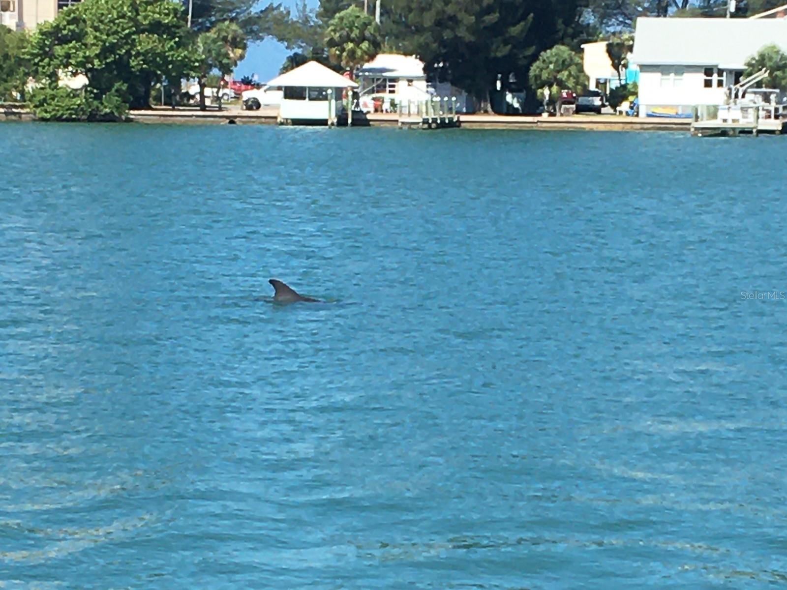 PARADISE ISLAND 2ND ADD PT 3 - Residential