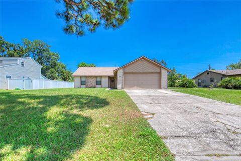 Photo of 2815 Travelers Palm Drive, Edgewater, FL 32141 (MLS # V4945556)