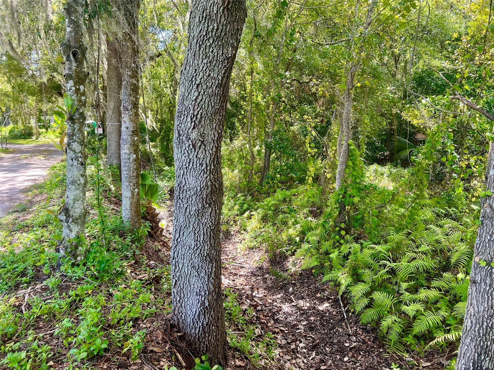 ACREAGE & UNREC - Land