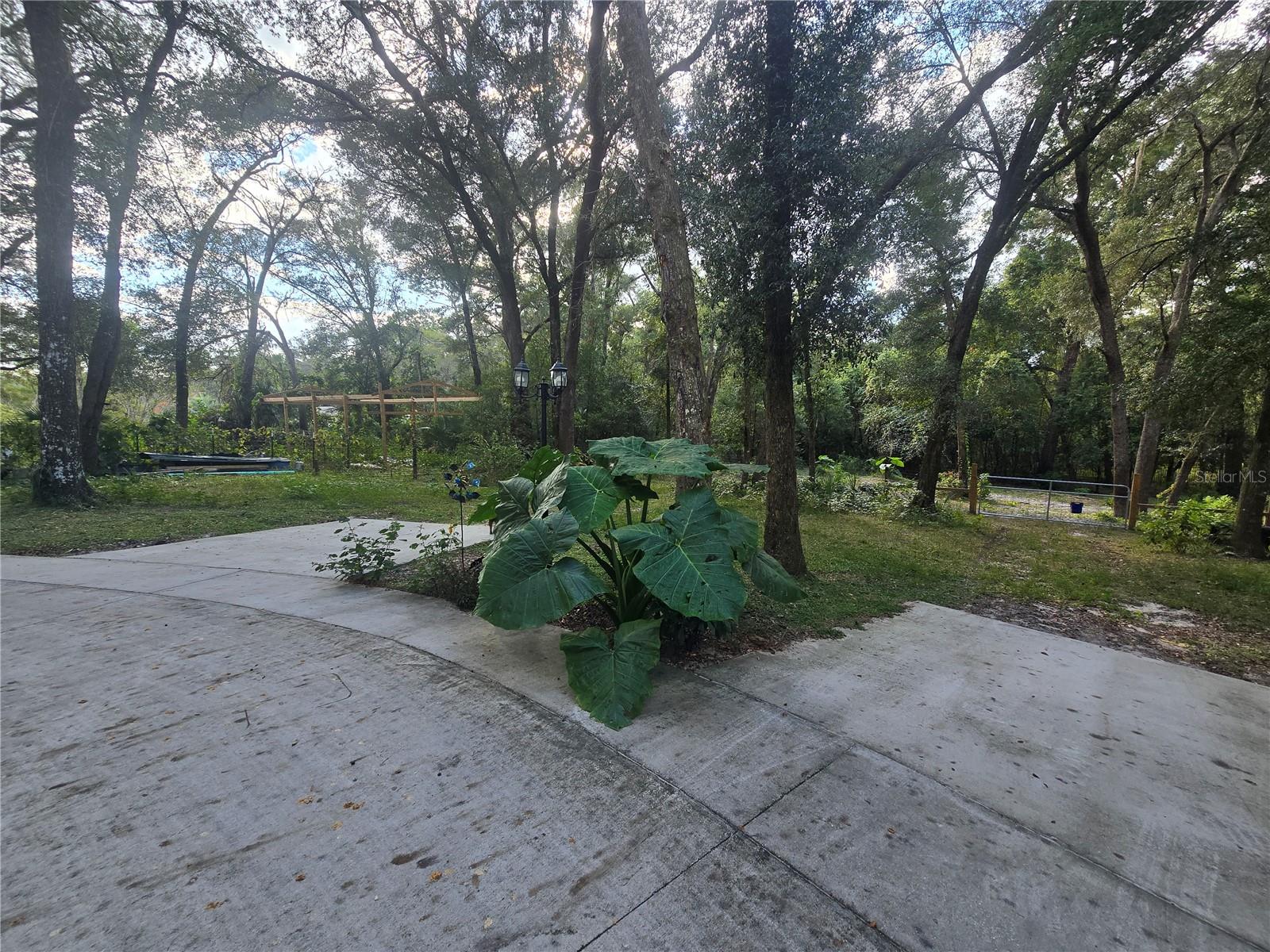 ORANGE CITY DELAND FARMS - Residential