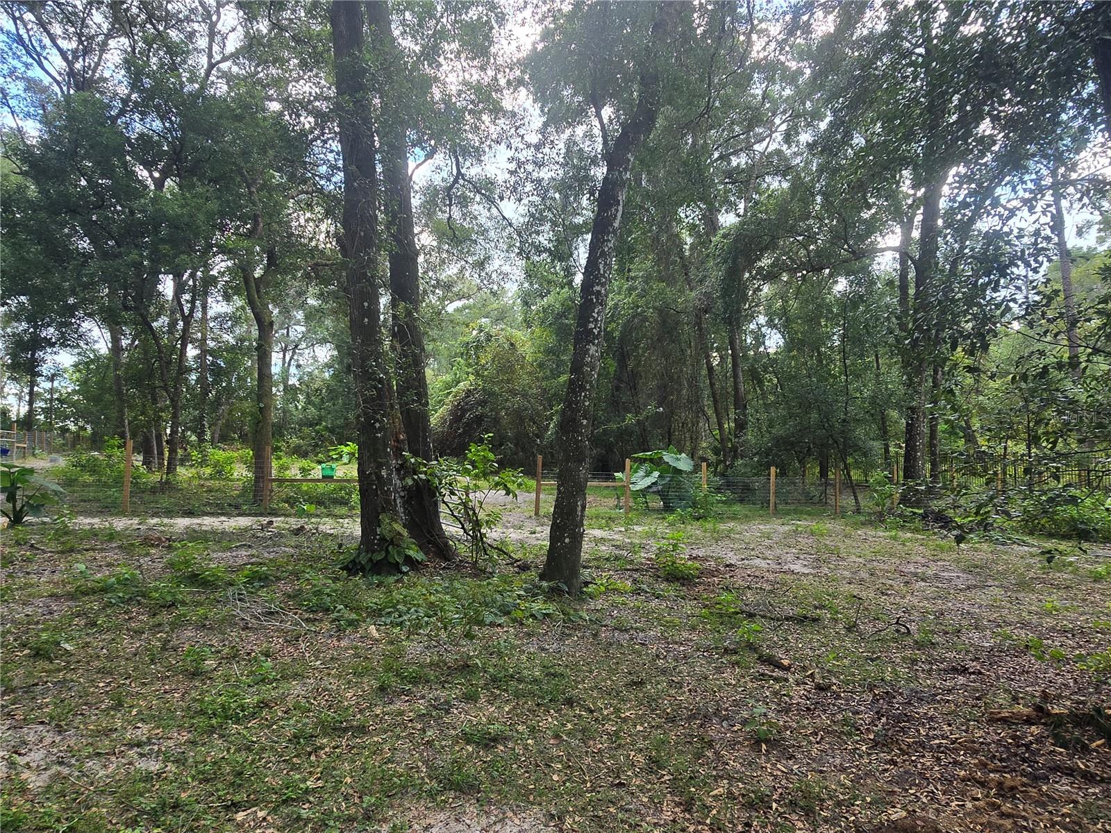 ORANGE CITY DELAND FARMS - Residential