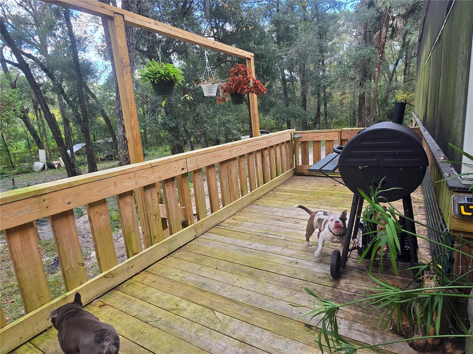 ORANGE CITY DELAND FARMS - Residential