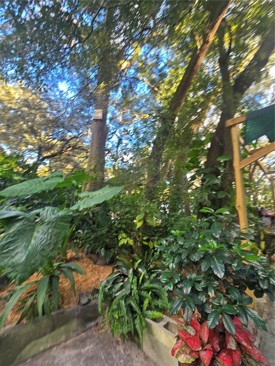 ORANGE CITY DELAND FARMS - Residential