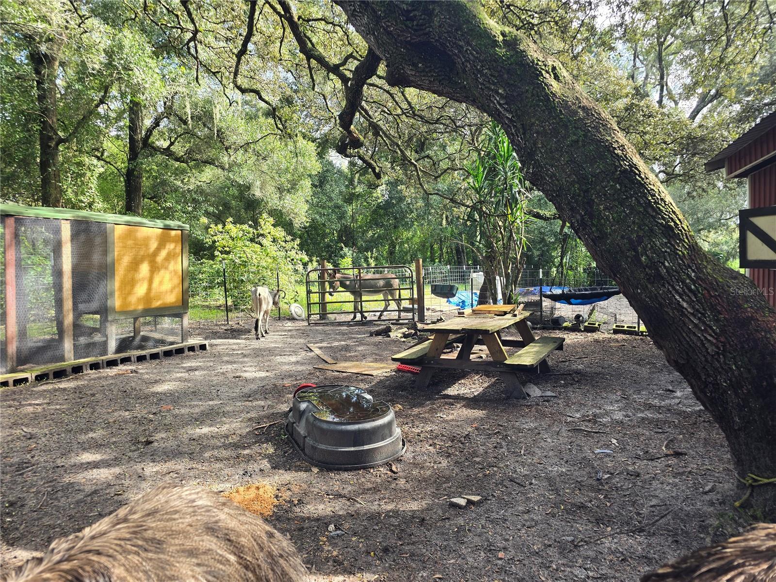 ORANGE CITY DELAND FARMS - Residential