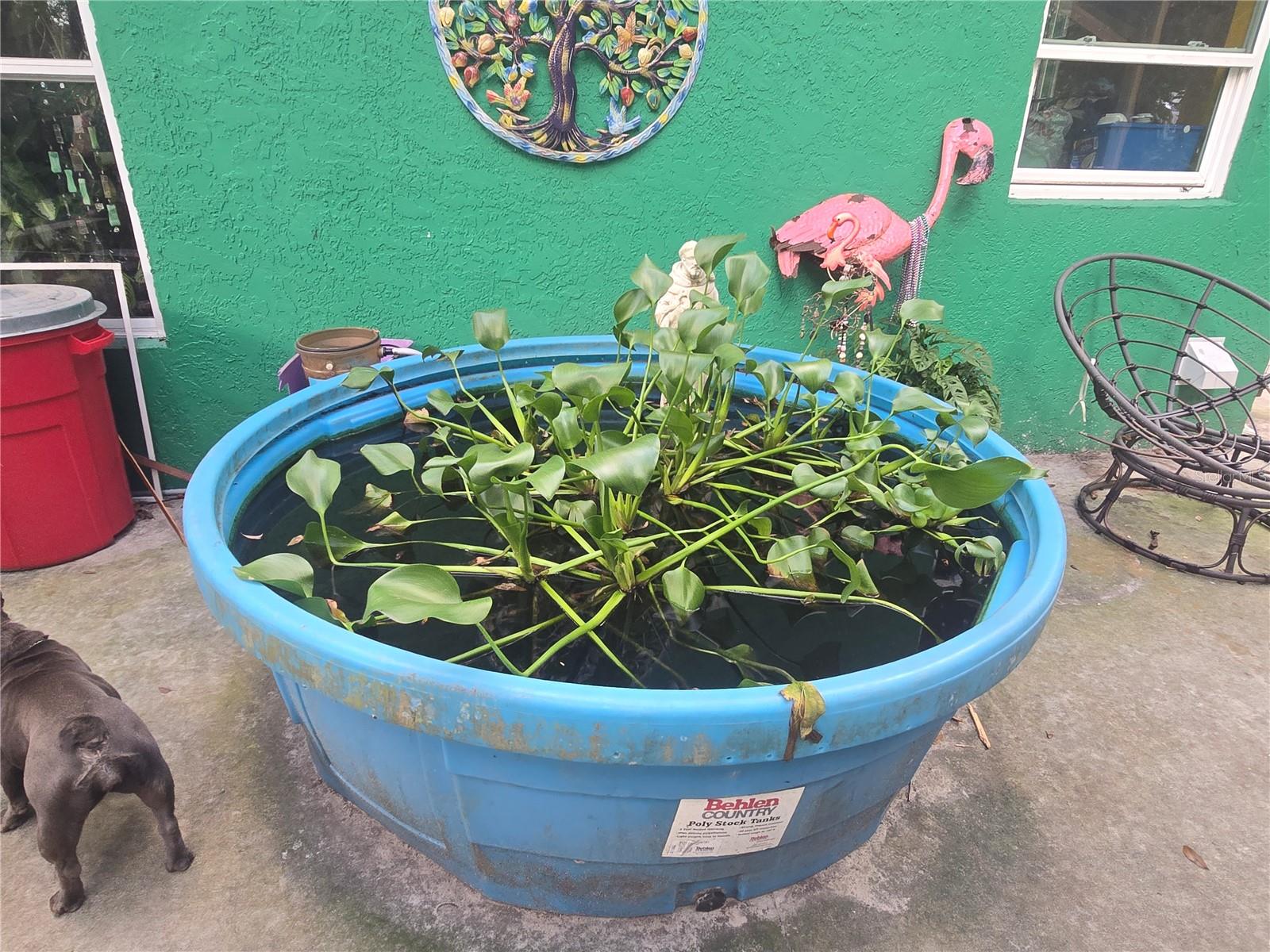 ORANGE CITY DELAND FARMS - Residential