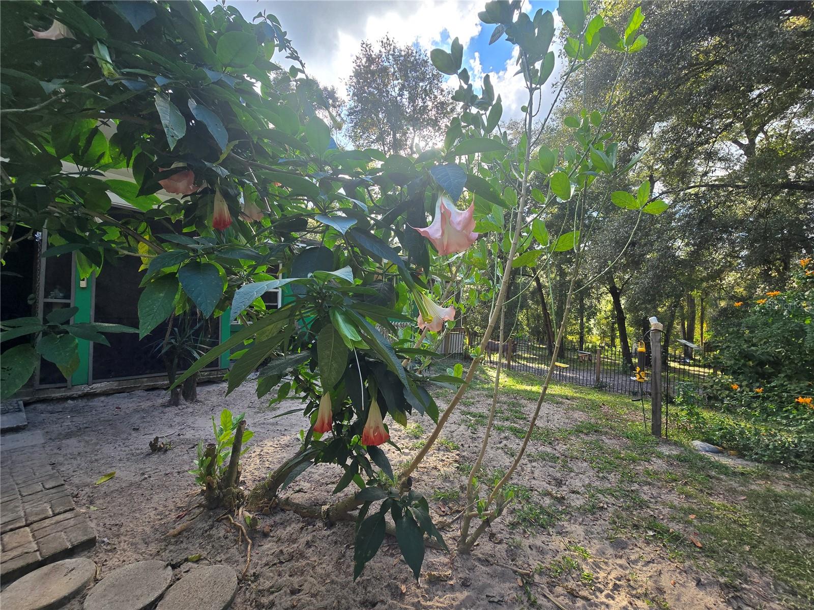 ORANGE CITY DELAND FARMS - Residential