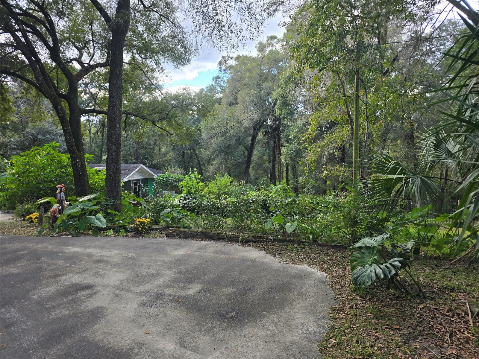 ORANGE CITY DELAND FARMS - Residential