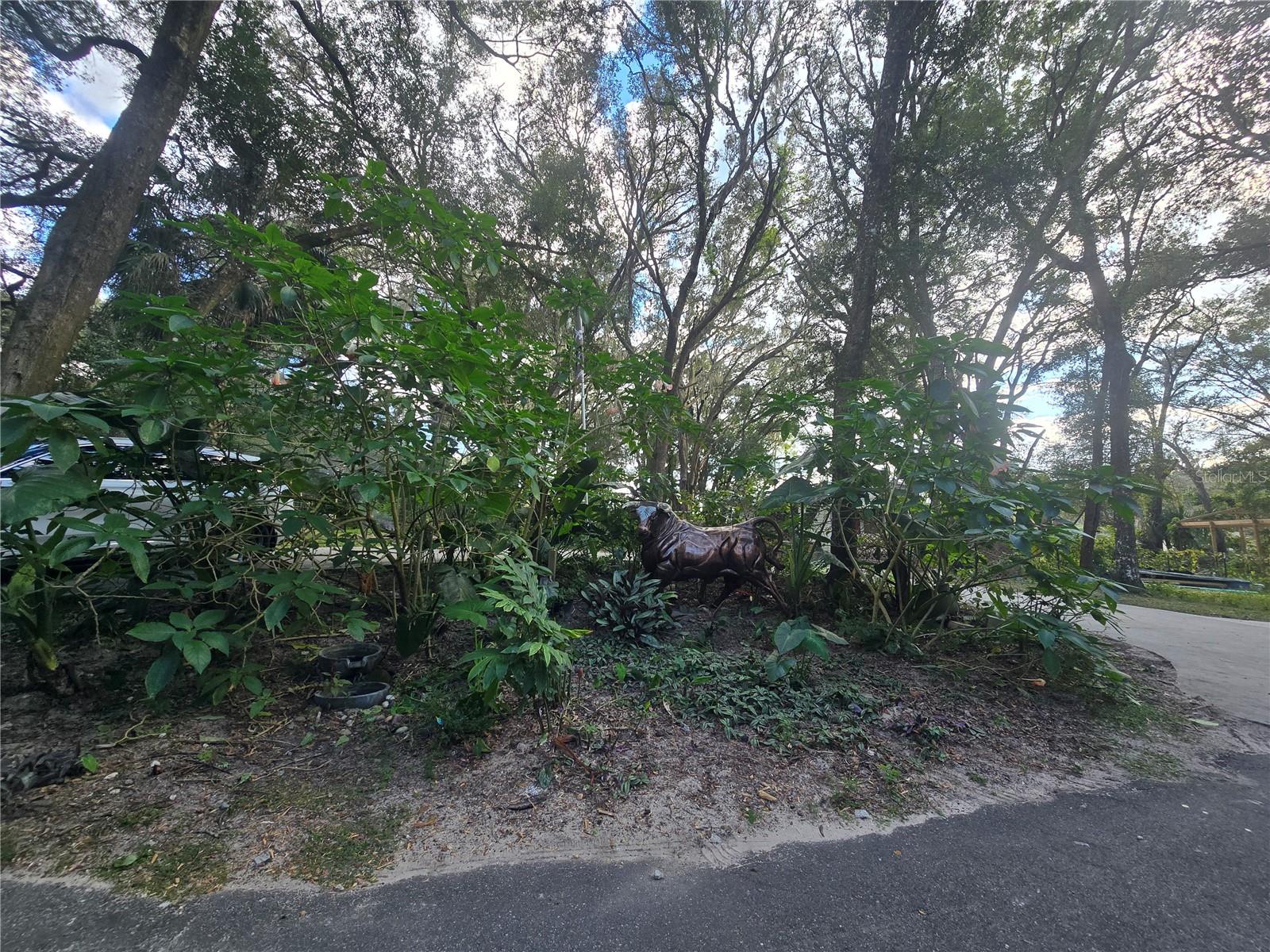 ORANGE CITY DELAND FARMS - Residential