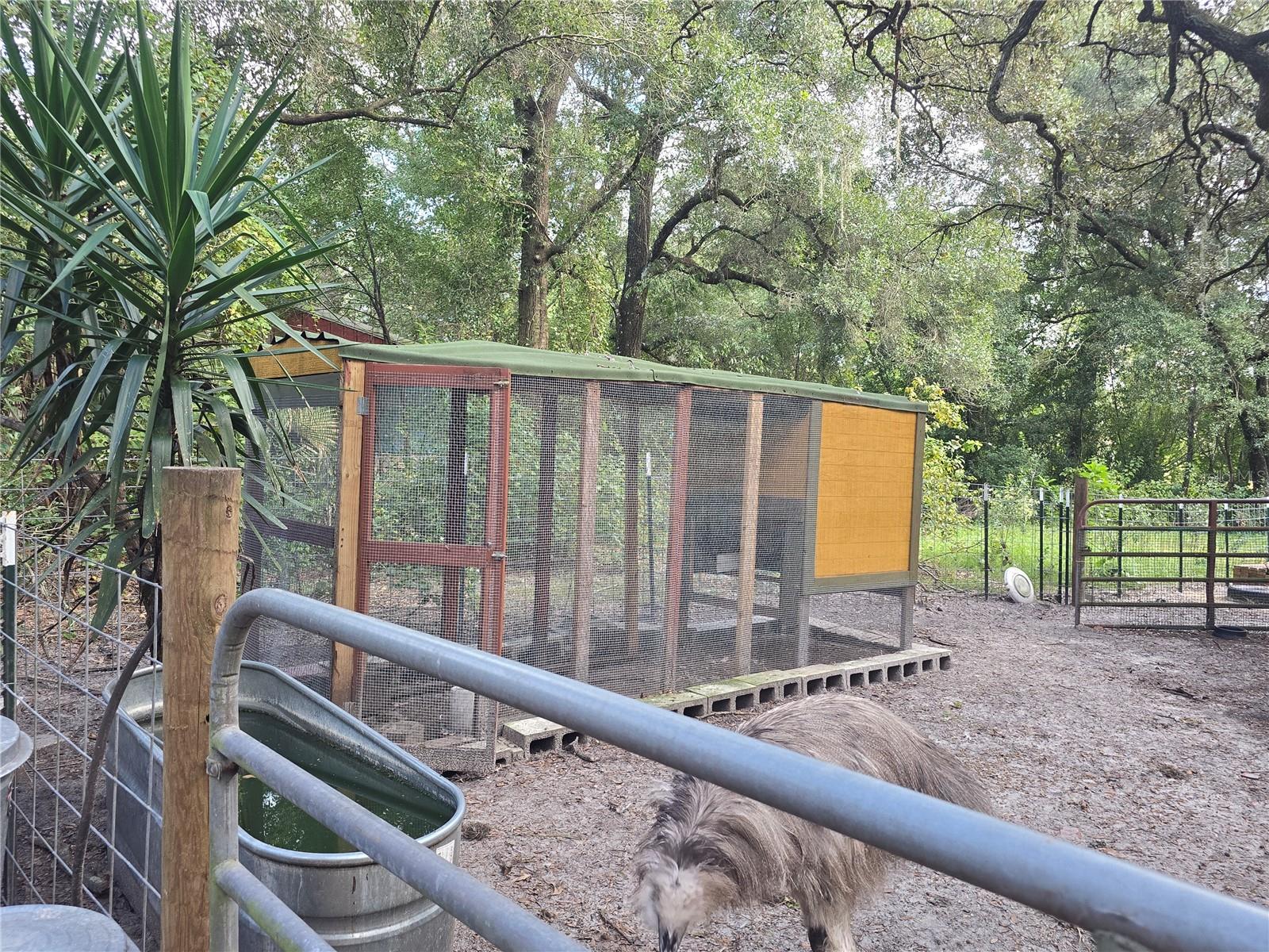 ORANGE CITY DELAND FARMS - Residential