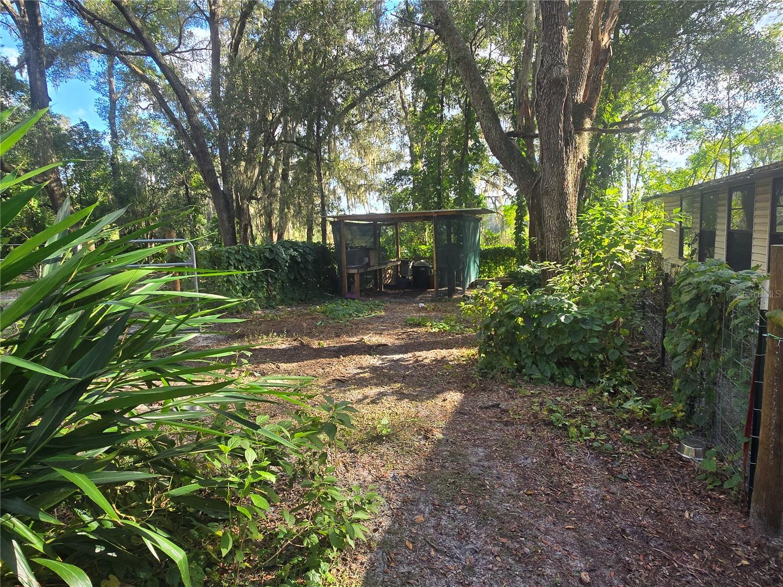 ORANGE CITY DELAND FARMS - Residential