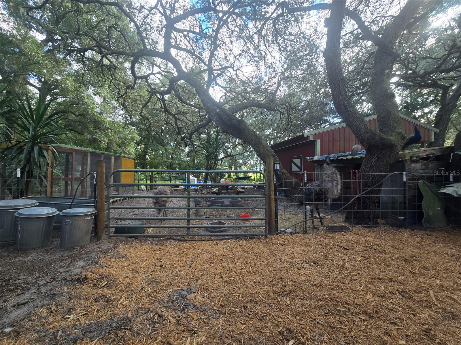 ORANGE CITY DELAND FARMS - Residential