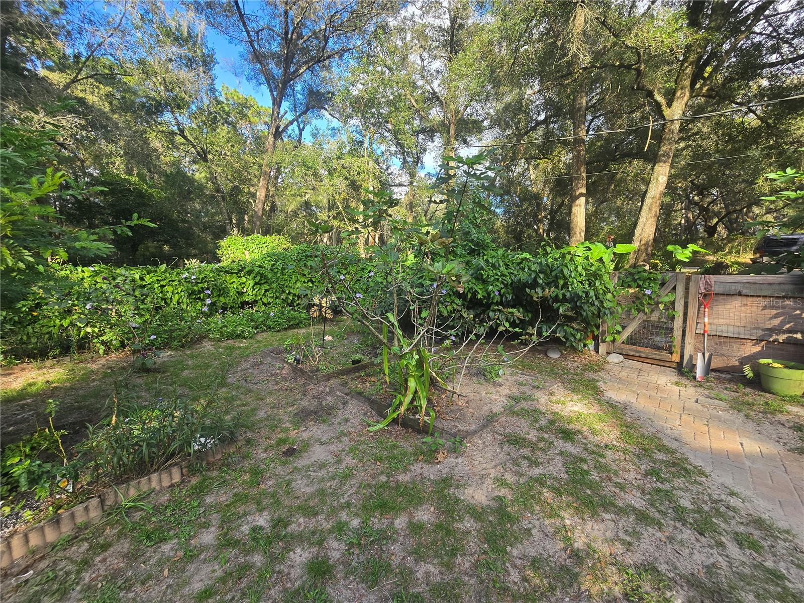 ORANGE CITY DELAND FARMS - Residential