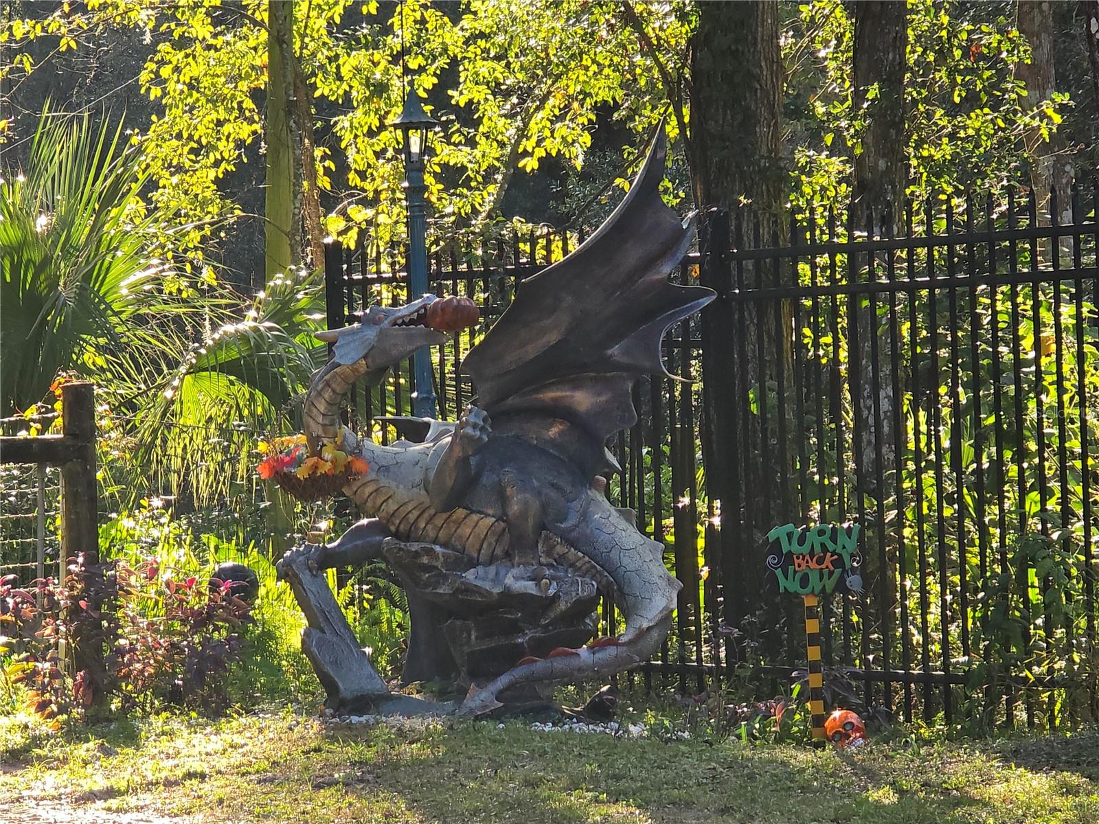 ORANGE CITY DELAND FARMS - Residential