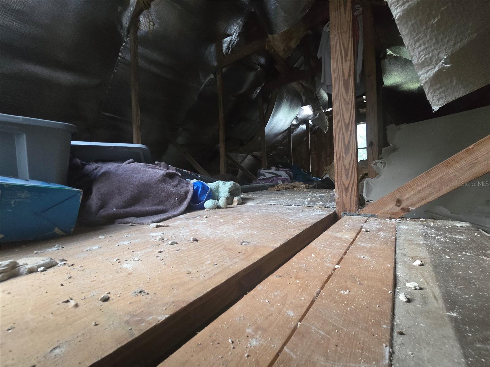 ORANGE CITY DELAND FARMS - Residential