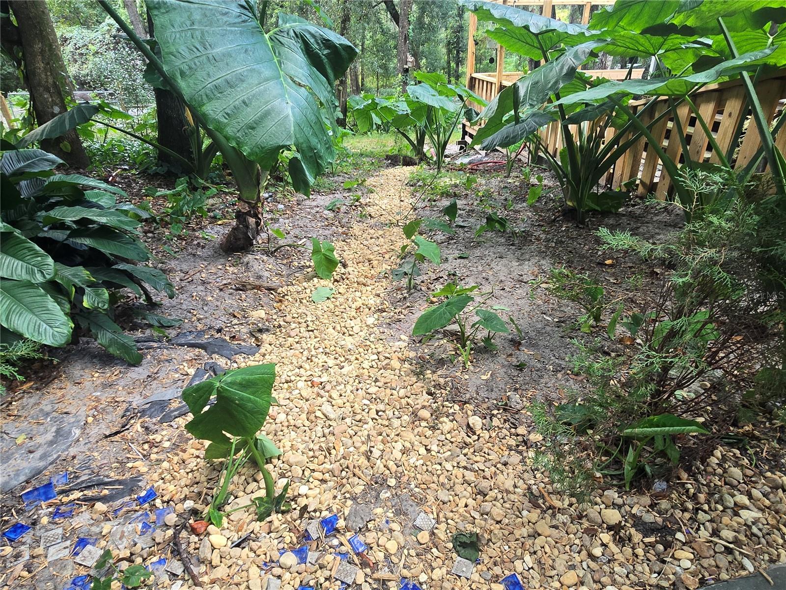 ORANGE CITY DELAND FARMS - Residential