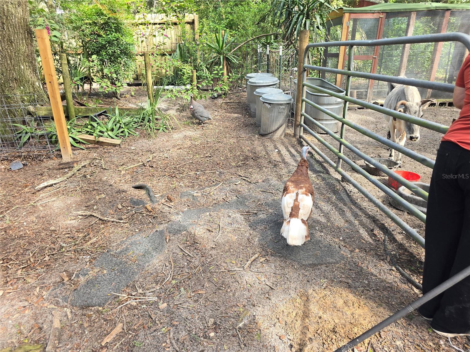 ORANGE CITY DELAND FARMS - Residential