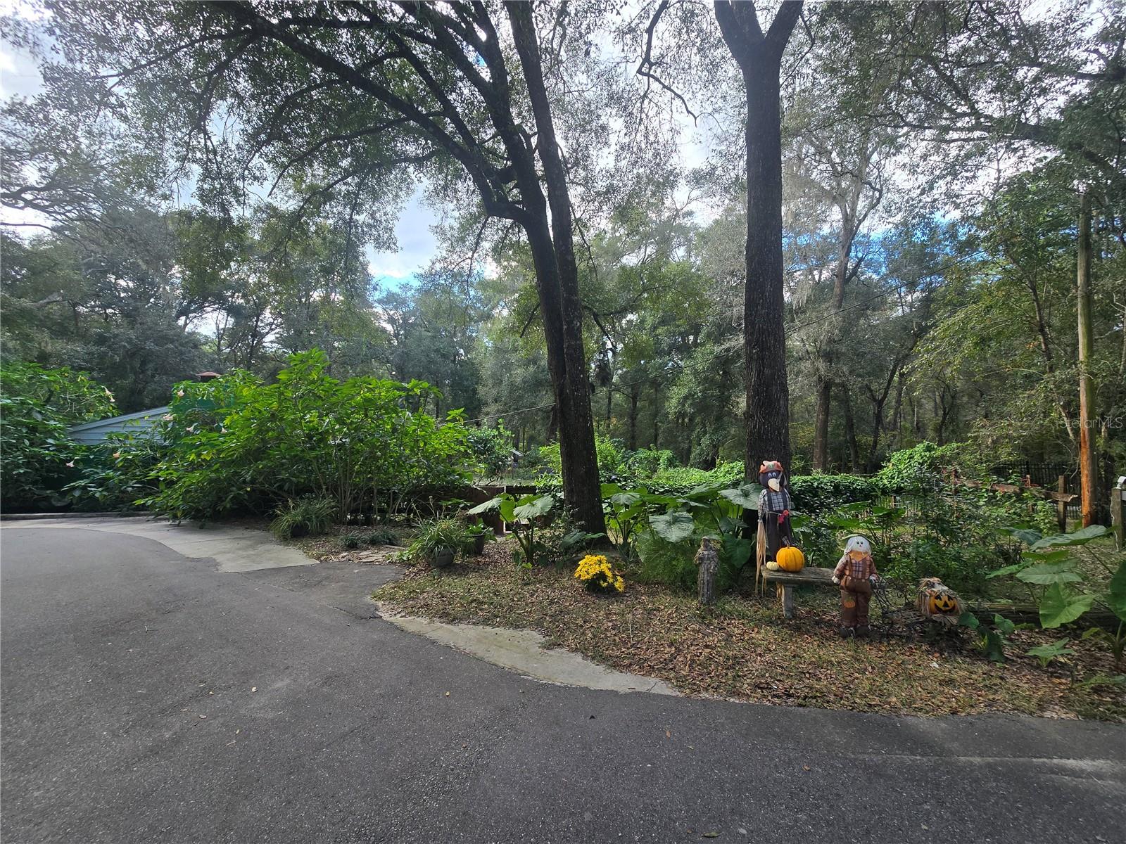 ORANGE CITY DELAND FARMS - Residential