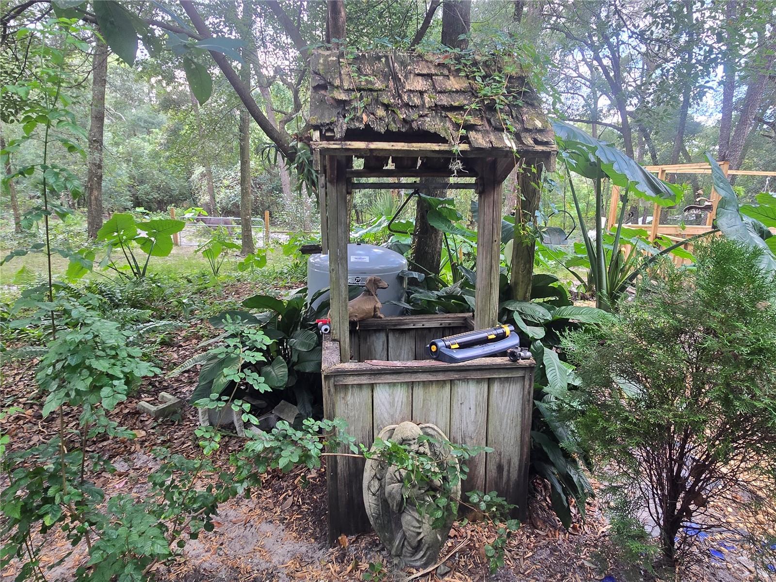 ORANGE CITY DELAND FARMS - Residential