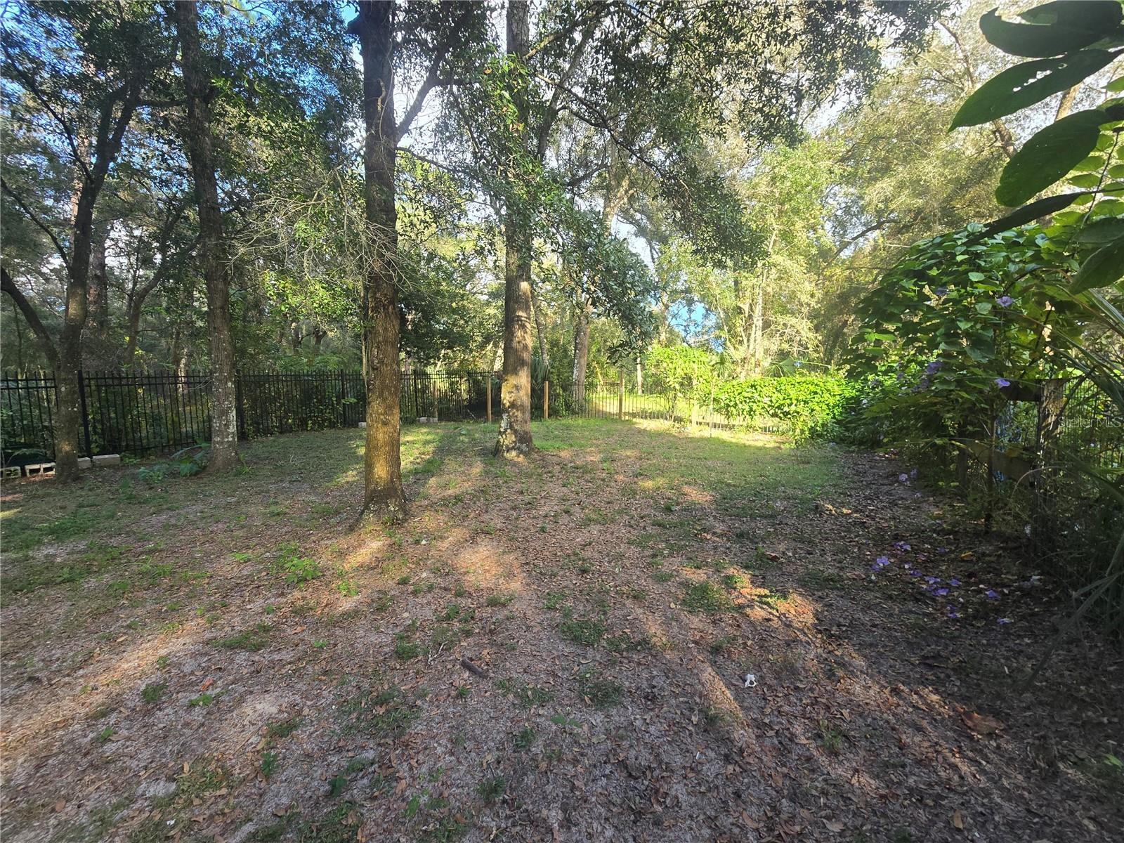 ORANGE CITY DELAND FARMS - Residential