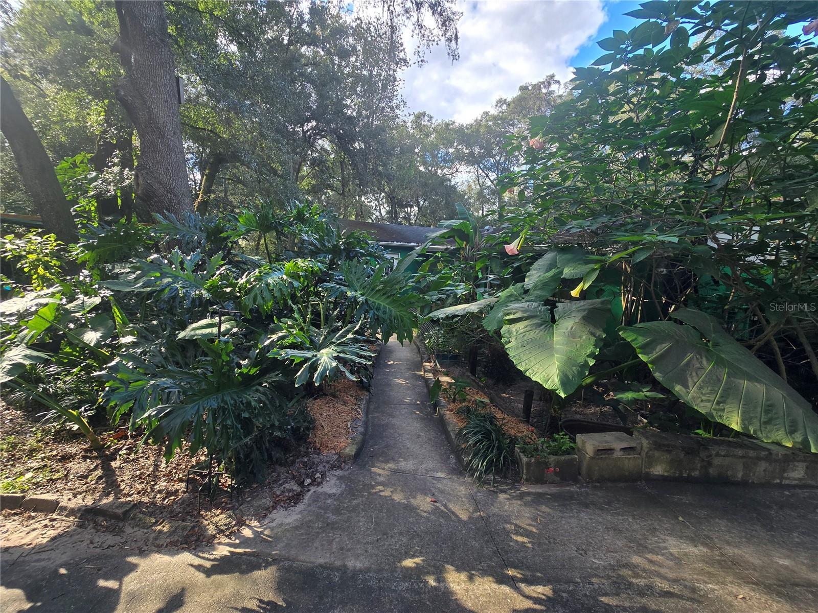 ORANGE CITY DELAND FARMS - Residential