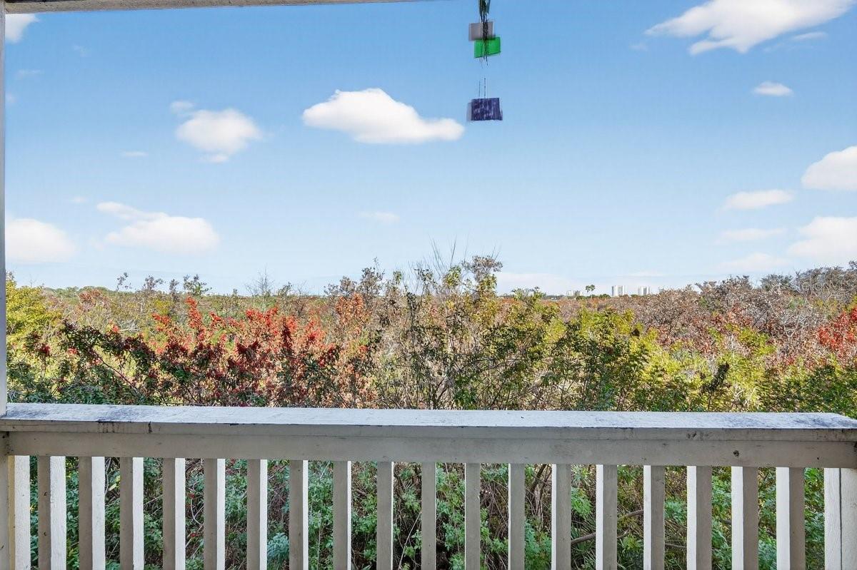 PRESERVE AT RIVERS EDGE - Residential