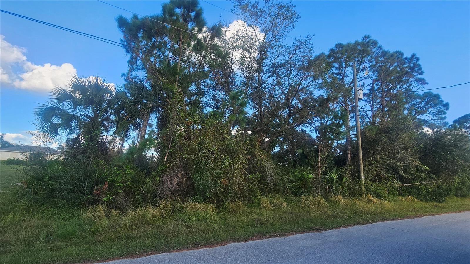 DEER RUN LOT 44 ROAD, NORTH PORT, FL, 34291 3 DEER RUN LOT 44 ROAD