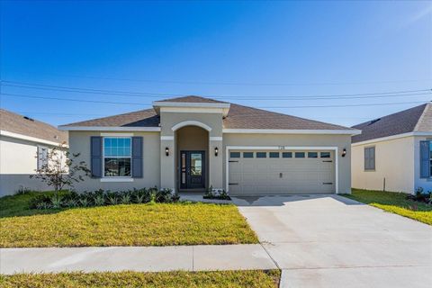 Photo of 2929 Supermarine Road, Tavares, FL 32778 (MLS # G5104748)