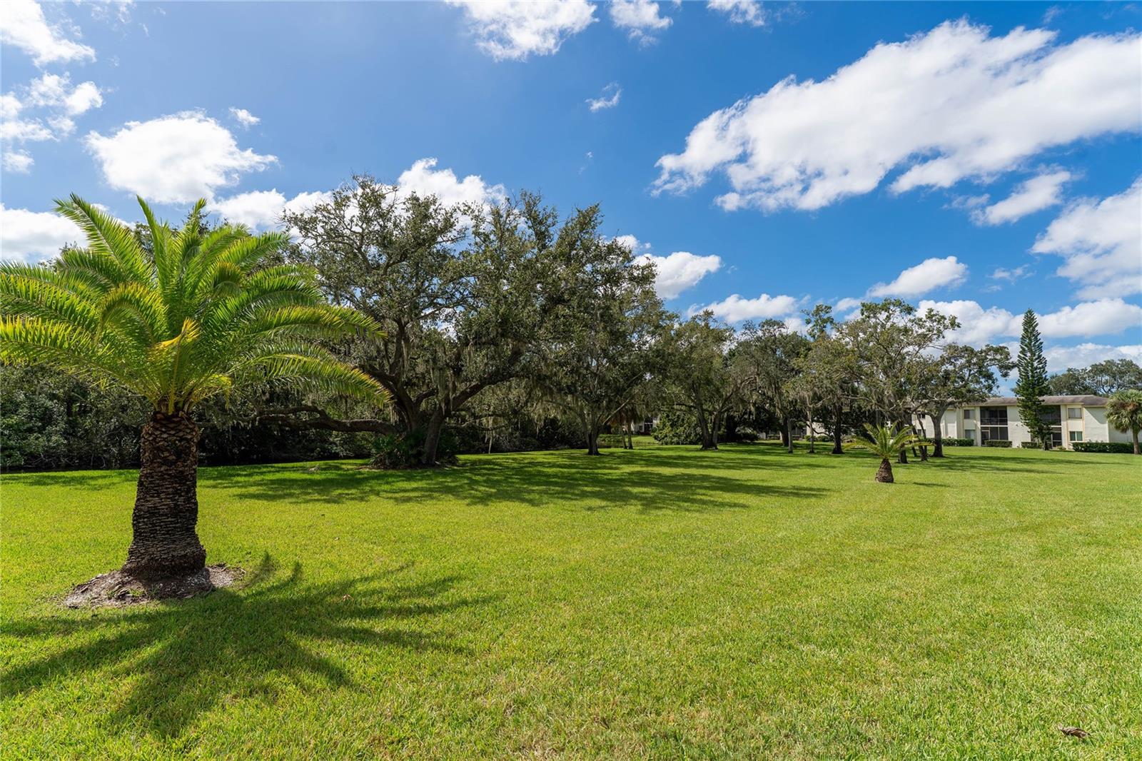 EAST LAKE WOODLANDS CYPRESS ESTATES - Residential