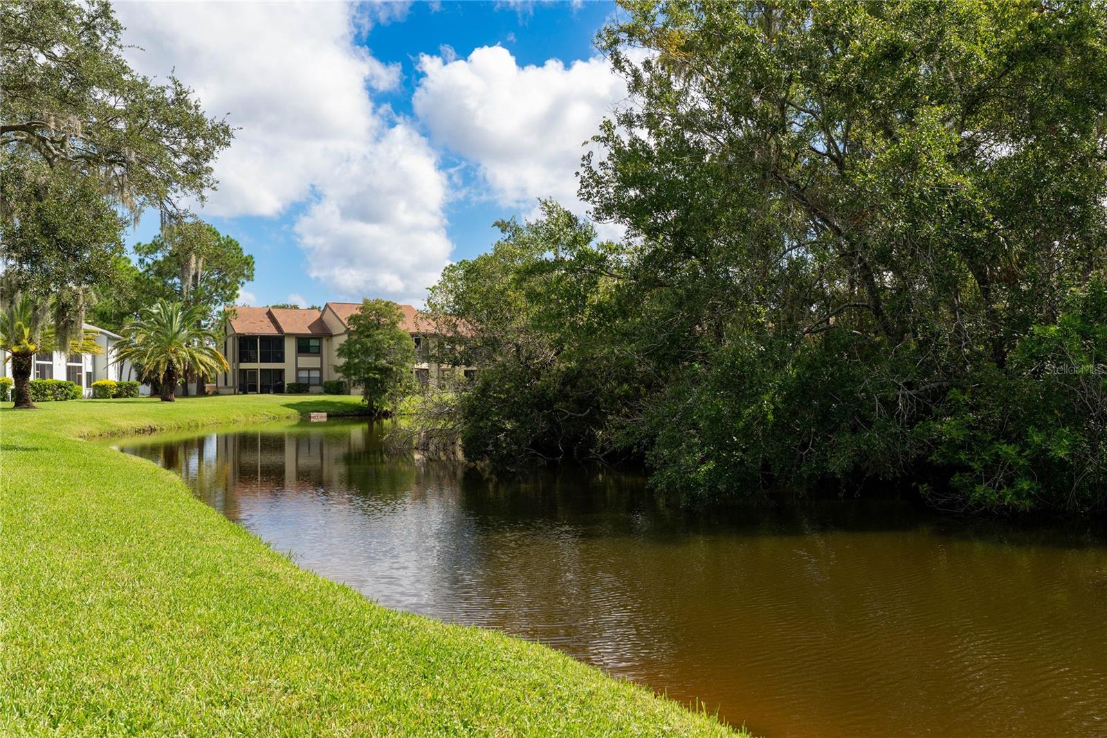 EAST LAKE WOODLANDS CYPRESS ESTATES - Residential