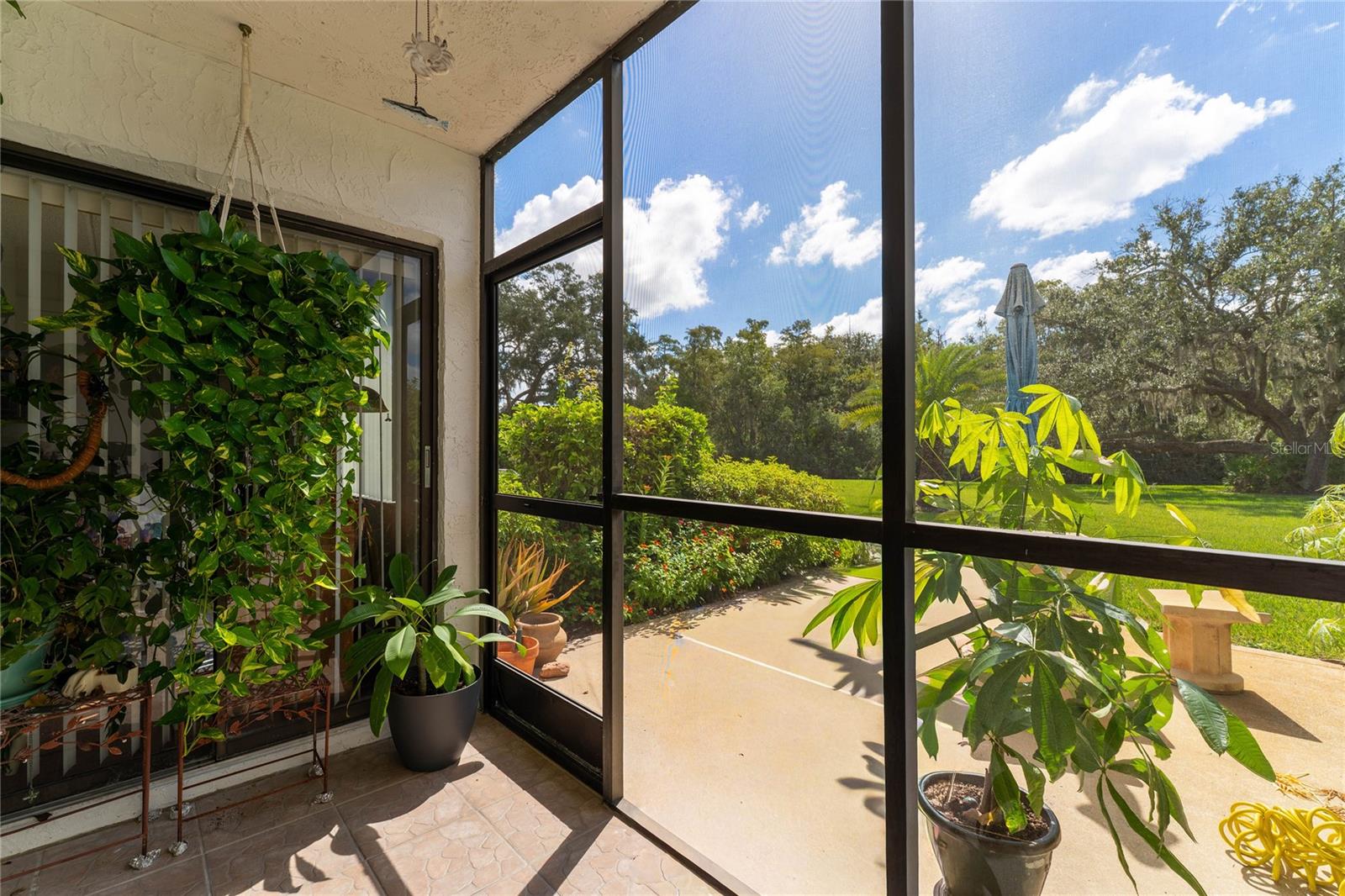 EAST LAKE WOODLANDS CYPRESS ESTATES - Residential