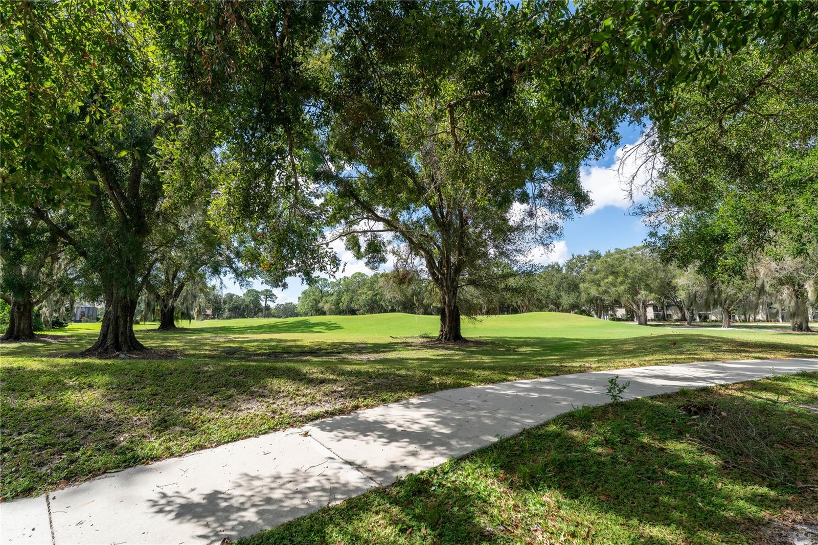 EAST LAKE WOODLANDS CYPRESS ESTATES - Residential