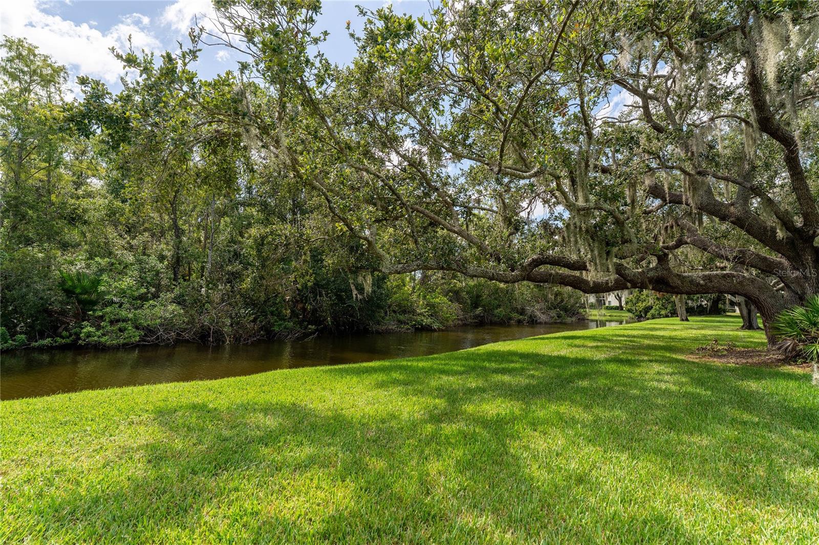 EAST LAKE WOODLANDS CYPRESS ESTATES - Residential