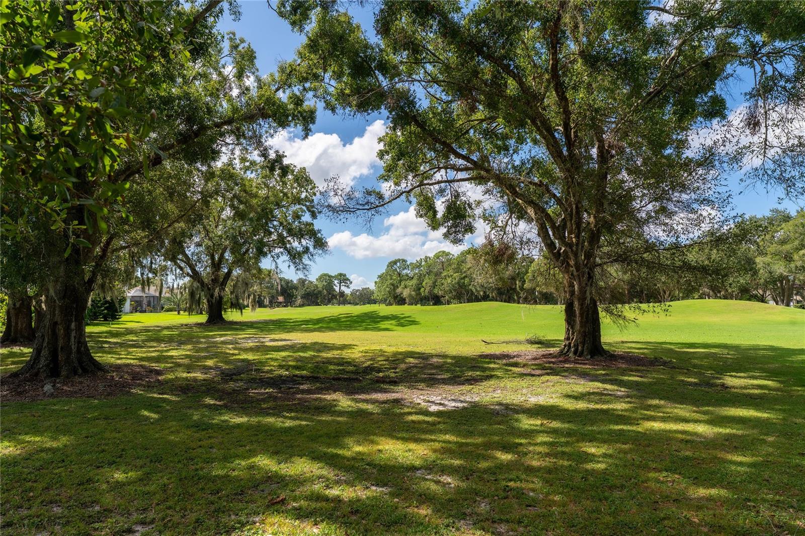 EAST LAKE WOODLANDS CYPRESS ESTATES - Residential