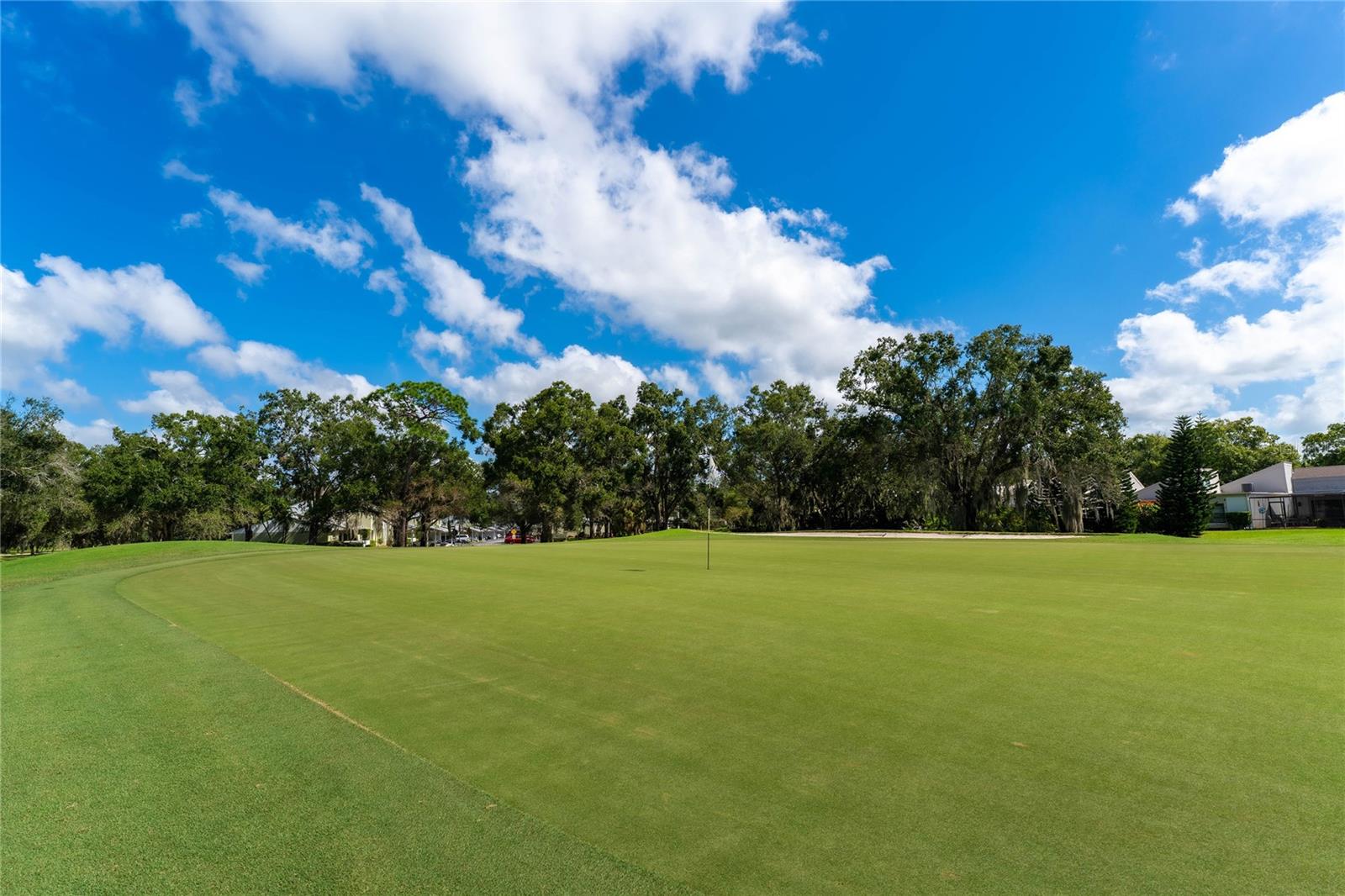 EAST LAKE WOODLANDS CYPRESS ESTATES - Residential
