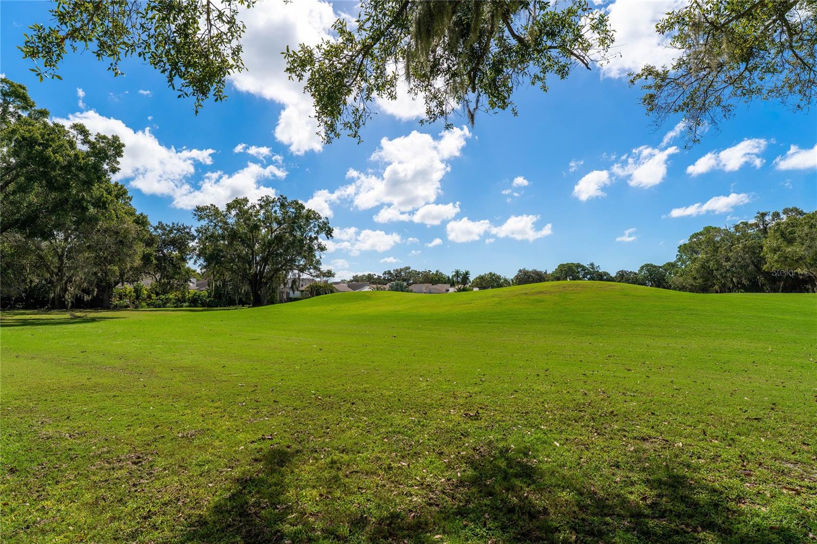 EAST LAKE WOODLANDS CYPRESS ESTATES - Residential