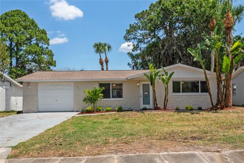 Single Family Residence in PORT RICHEY FL 5531 QUIST DRIVE.jpg