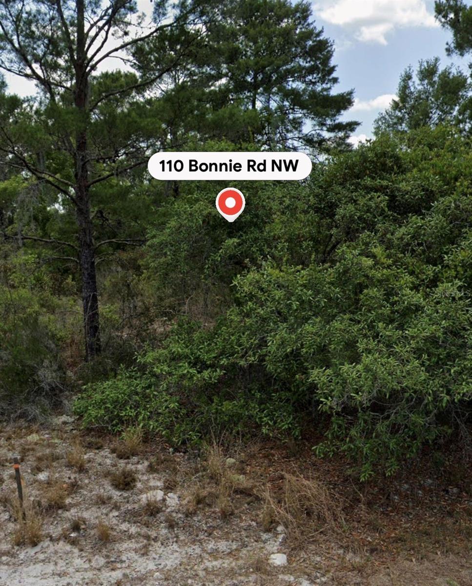 110 BONNIE ROAD NW