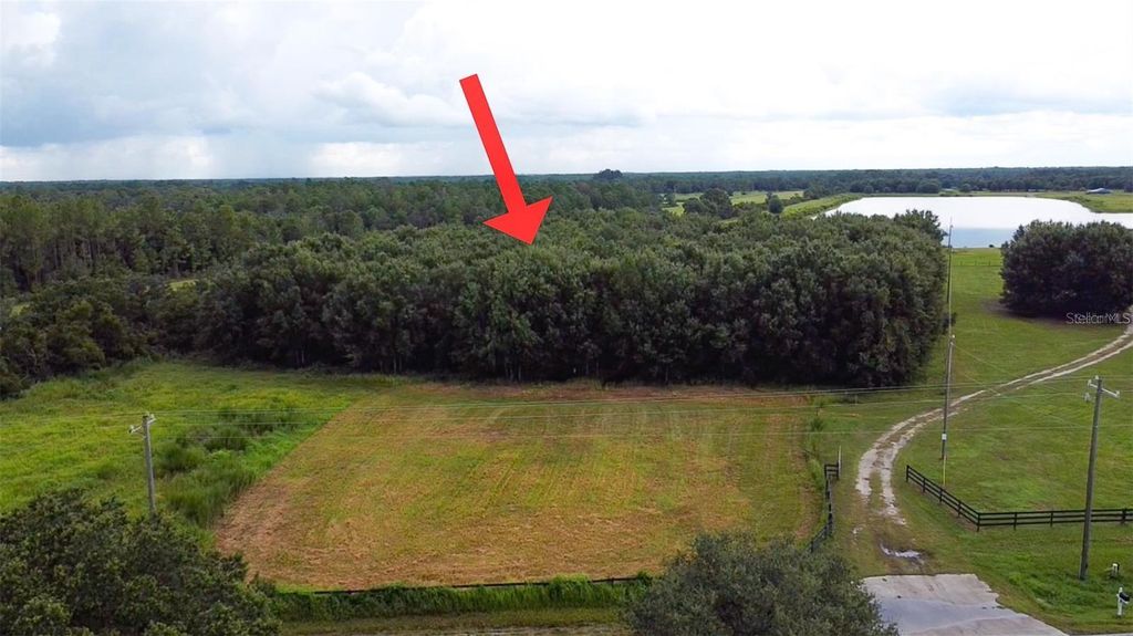 Photo of 4970 Wauchula Road, Myakka City, FL 34251 (MLS # A4659500)