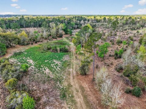 Tiny photo for Island Pond Lane, Eustis, FL 32736 (MLS # G5109920)