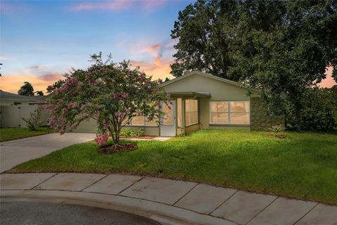 1811 HIBISCUS COURT S OLDSMAR FL 34677