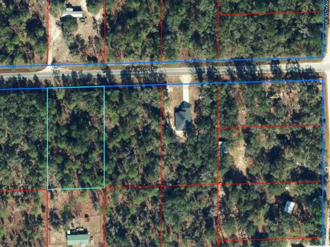 Tiny photo for NE 80th Street, Bronson, FL 32621 (MLS # GC538060)
