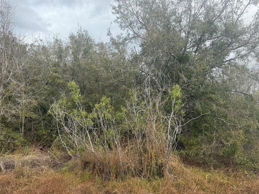 Build or bring your dream home on this 1.25-acre parcel located in Okeechobee County. Enjoy peaceful rural living with plenty of space for a home, animals, or recreational use. No HOA and ample room to customize your property to fit your vision. Conveniently located with easy access to main roads while still offering privacy and open space. A great opportunity to own affordable land in a growing area.