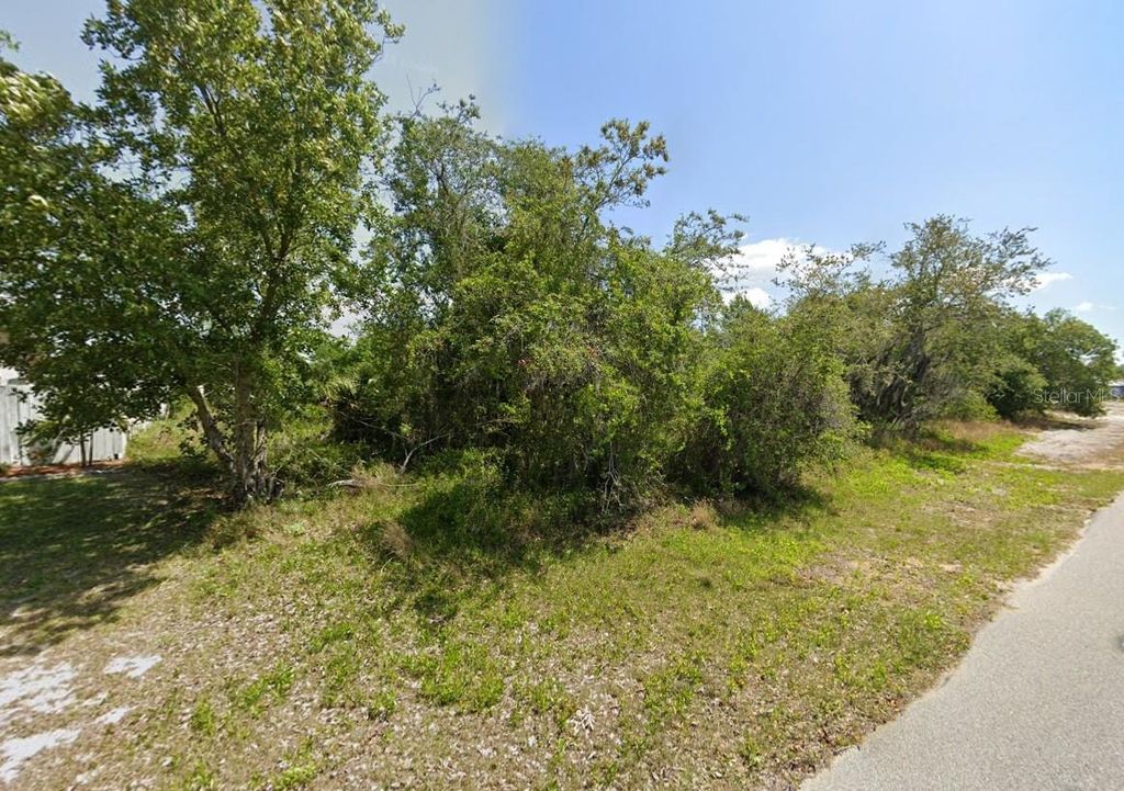 Photo of 249 Grape Road NW, Lake Placid, FL 33852 (MLS # C7513980)