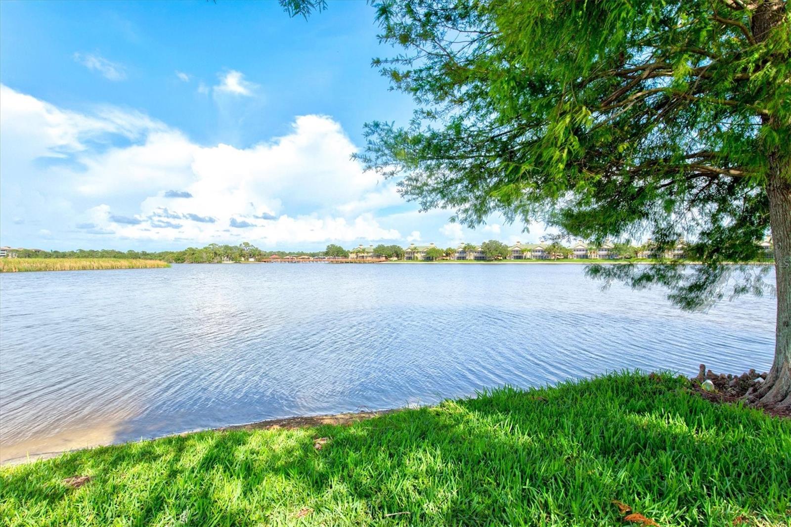 LAKEWOOD RANCH COUNTRY CLUB VILLAGE - Residential